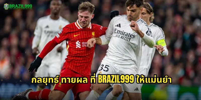กลยุทธ์ ทายผล ที่ BRAZIL999 ให้แม่นยำ